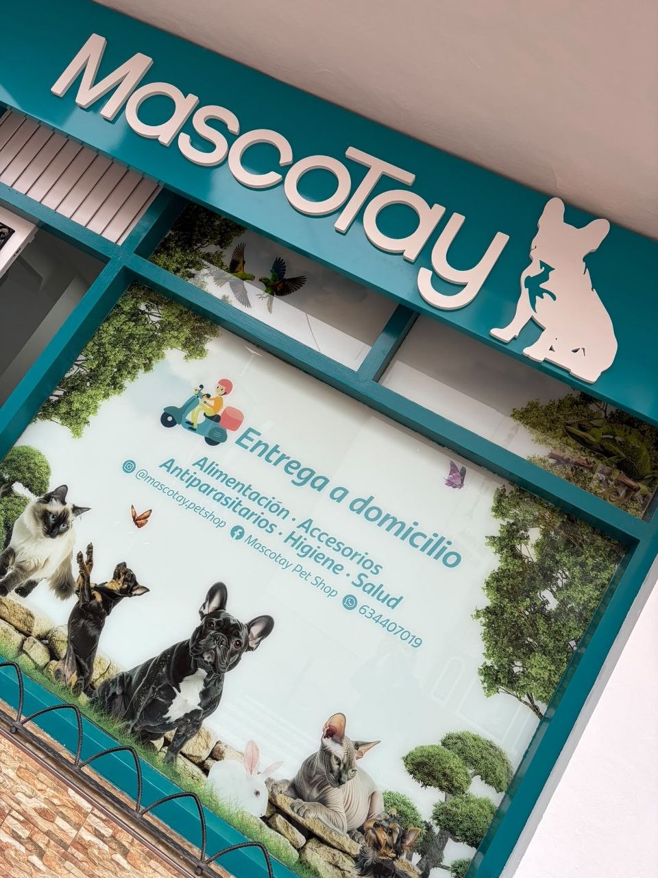 Interior de la tienda MascoTay